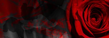 Soyut bir arka planda kırmızı güllü çıplak bir kadının silueti. Lezbiyen sevişiyor. Sevgililer günü kartı. Erotik pozisyon. Kendini beğenmişlik.