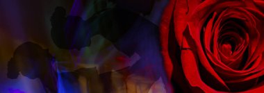 Soyut bir arka planda kırmızı güllü çıplak bir kadının silueti. Lezbiyen sevişiyor. Sevgililer günü kartı. Erotik pozisyon. Kendini beğenmişlik.