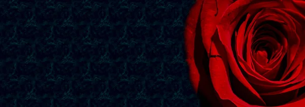 Silhouette Einer Nackten Frau Auf Abstraktem Hintergrund Mit Roter Rose — Stockfoto
