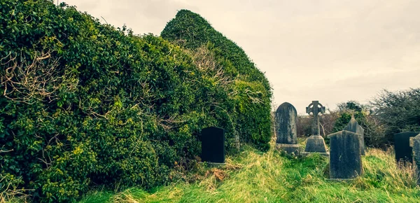 Írország Kelta Kereszt Középkori Templom Temetőjében Régi Kísérteties Temető Kísértetjárta — Stock Fotó
