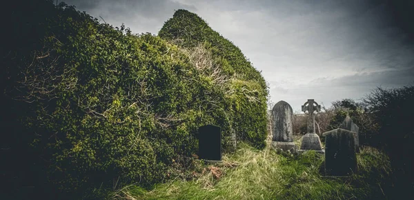 Irlanda Cruz Celta Cemitério Igreja Medieval Antigo Cemitério Assustador Cemitério — Fotografia de Stock