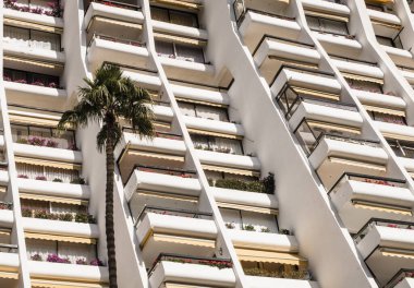 Ön planda palmiye ağacı olan ön cephenin ayrıntıları. Balkonları olan sürekli yinelenen apartman binası ön cephesi..