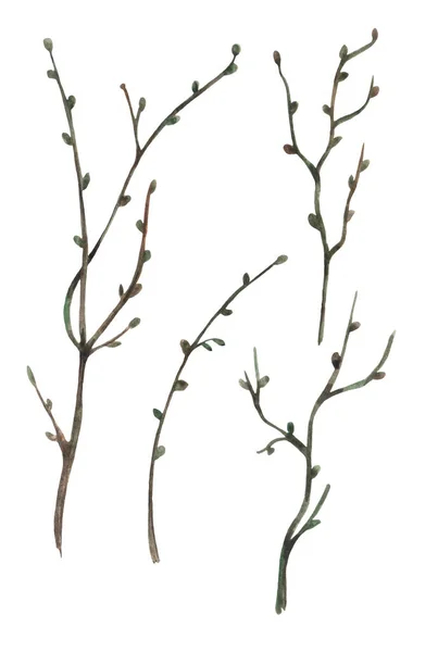 Akwarela Ręcznie Rysowane Drzewo Branche Izolowane Białym Tle Kije Gałązki — Zdjęcie stockowe