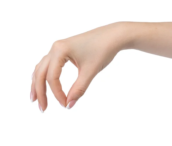 Schöne weibliche Hand — Stockfoto