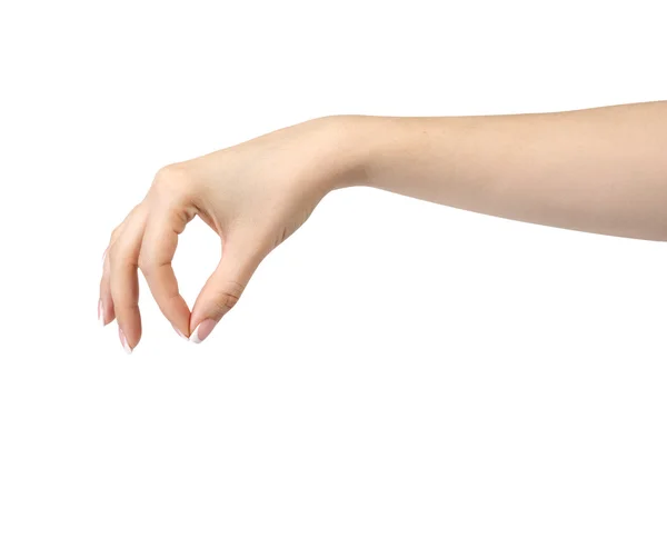 Schöne Frau hält die Hand — Stockfoto