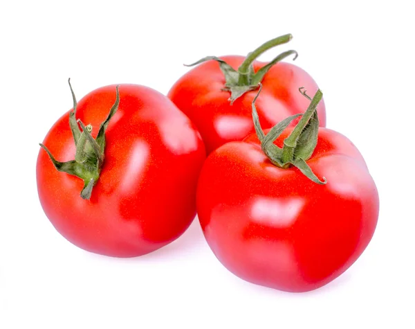 Tomates rojos — Foto de Stock