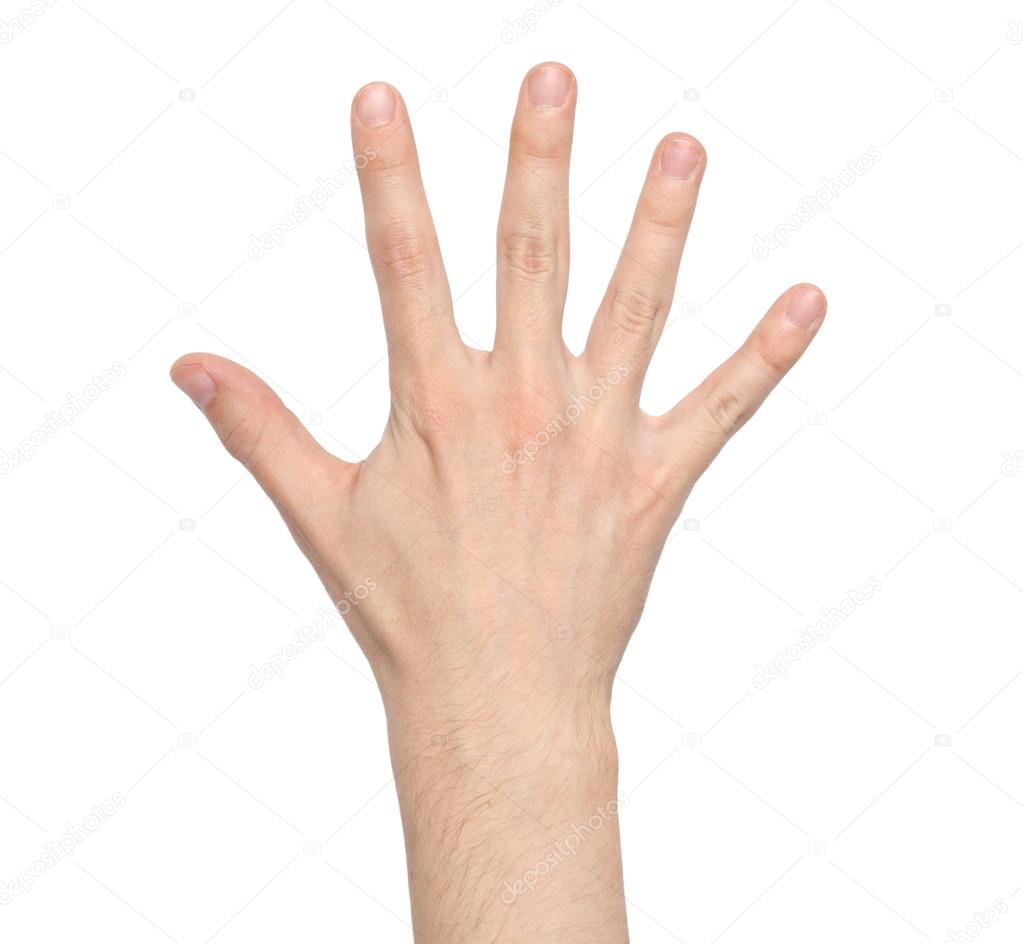 расставленные пальцы. знак растопыренные пальцы. изображение ладони. пальцы в разные стороны. пальцы широко расставлены.