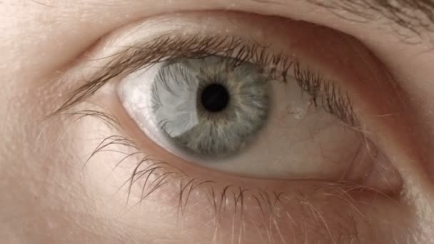 Глаза — стоковое видео