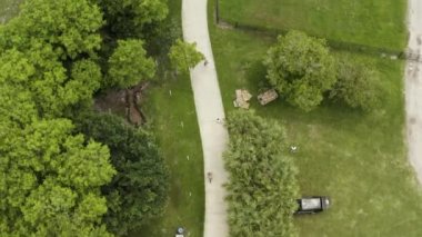 Bir ağacın yakın çekimi.