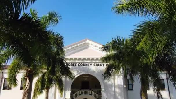 A palm tree in front of a building — Stock Video