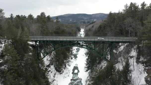 Ein Zug überquert eine Brücke über einen Wald — Stockvideo