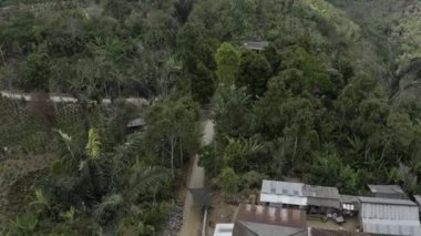 Ormanın ortasında bir tabela.