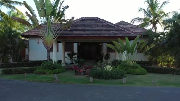 A palm tree in front of a house — Stock Video
