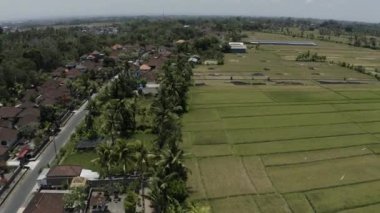 Büyük yeşil bir alan.