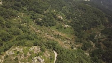 Arkasında dağ olan bir ağaç.
