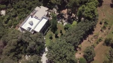 Bir ağacın yakın çekimi.