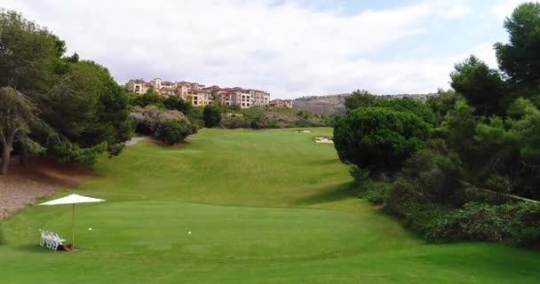 Un gran campo verde con árboles en el fondo — Vídeos de Stock