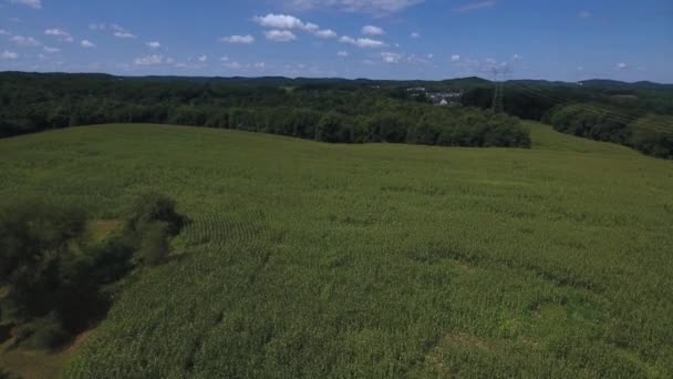 Um sinal num campo verde exuberante — Vídeo de Stock