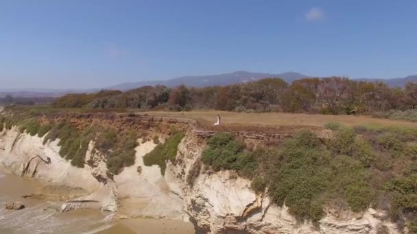 Wedding couple standing near edge of cliff — Stock Video