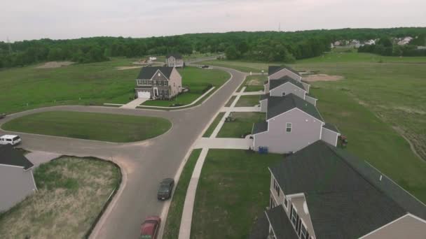 Une autoroute pleine d'herbe verte — Video