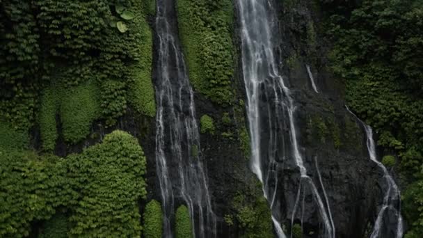 森の中の大きな滝 — ストック動画