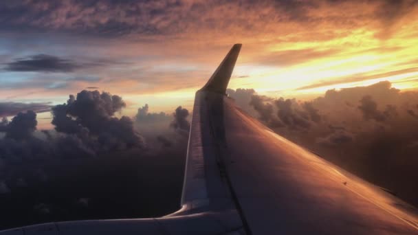 Un avión con una puesta de sol en el fondo — Vídeo de stock