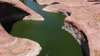 Dağın tepesinde oturan bir kuş