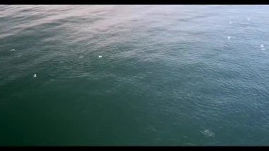 Suyun kenarında bir işaret.