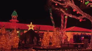 Bir filin yakın çekimi.