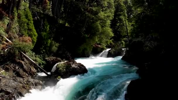 Ein großer Wasserfall in einem Wald — Stockvideo