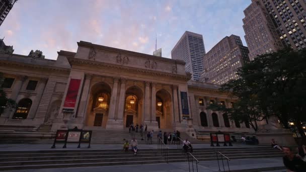 Пара людей, которые стоят перед Нью-Йоркской публичной библиотекой — стоковое видео