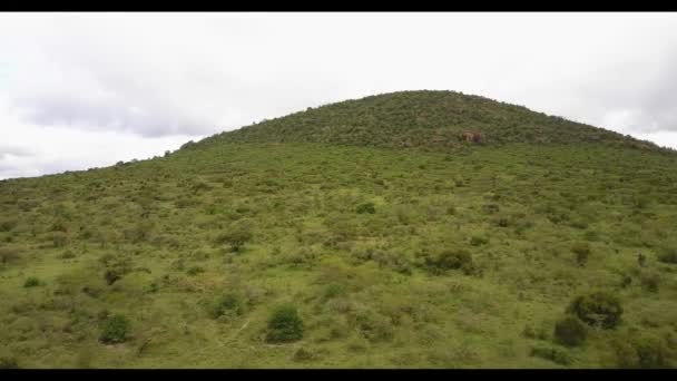 Un panneau sur le flanc d'une colline — Video