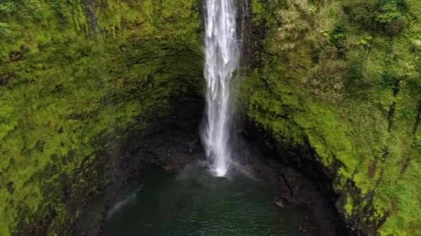Ein großer Wasserfall in einem Wald — Stockvideo