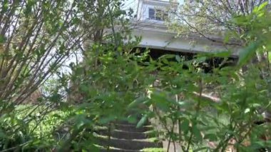 Bir ağacın yakın çekimi.