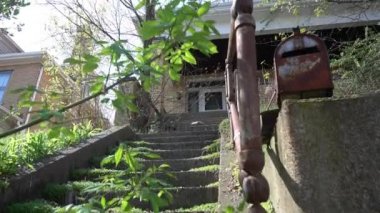 Binanın önündeki bir ağaç.