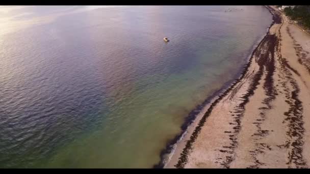 Vatten bredvid havet — Stockvideo