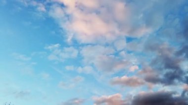 Bir logonun yakın çekimi