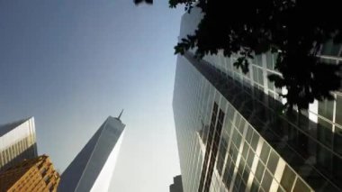 Binanın önündeki bir ağaç.