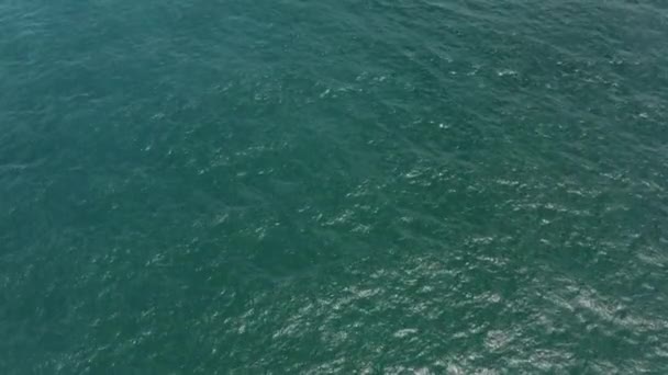 Water naast de oceaan — Stockvideo
