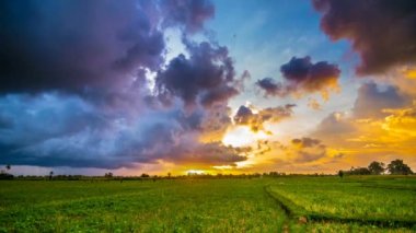 Yemyeşil bir tarladan çıkan dumanlı bir tren.