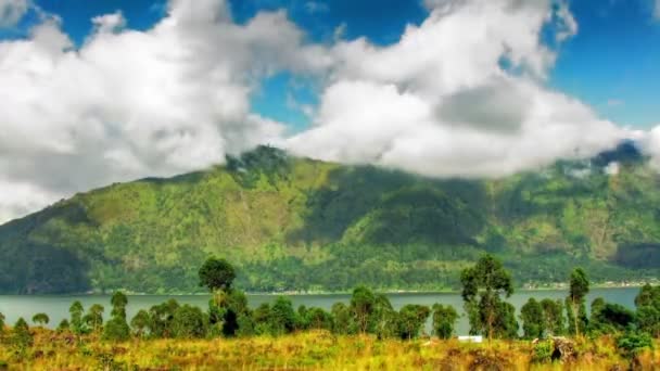 Un gran campo verde con árboles en el fondo — Vídeos de Stock