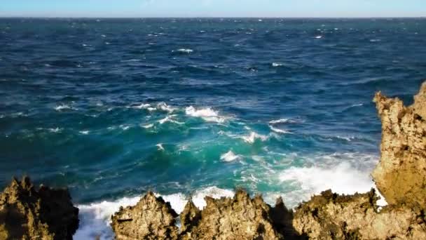 Zbliżenie skały w pobliżu oceanu — Wideo stockowe