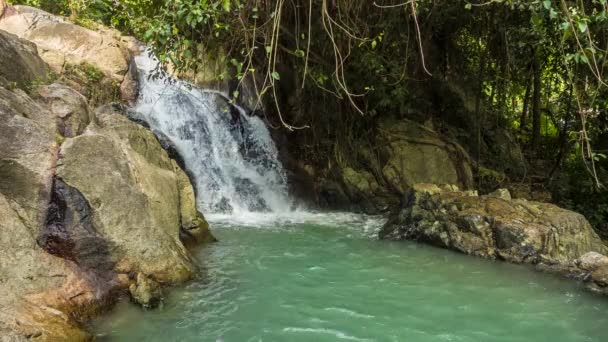 Ein großer Wasserfall und ein Wasserbecken — Stockvideo