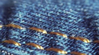 Bir kuşun yakın çekimi.