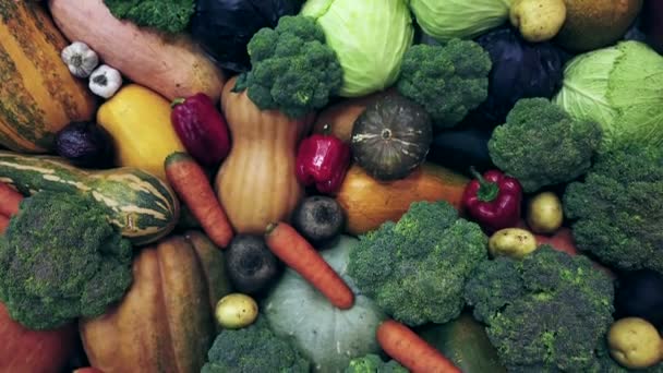 Різноманітні свіжі фрукти та овочі на виставці — стокове відео