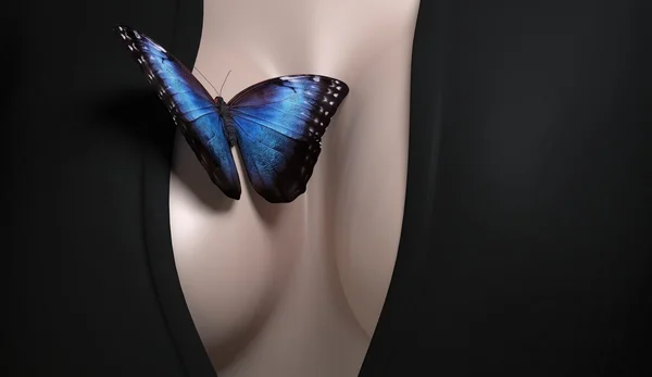 Seksi kadın brest kelebek