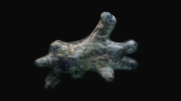 Amip proteus hücre