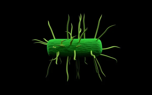 Иллюстрация бактерий — стоковое фото