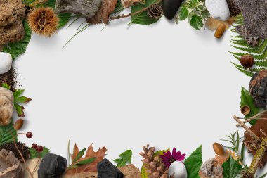 Sonbahar kompozisyon çerçevesi. Arka planda sonbahar kurumuş yapraklardan yapılmış çerçeve.