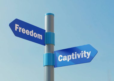 Sokak Özgürlüğe Karşı Tutsaklık Yöntemini İmzala.